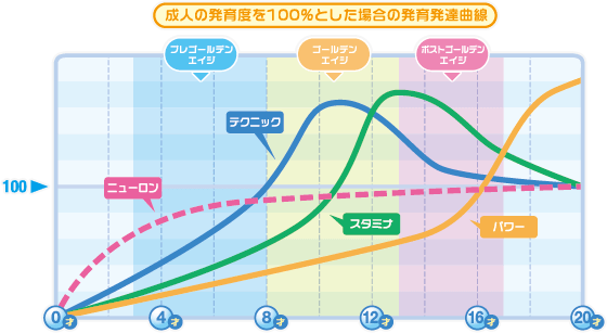 成人の発育度を100％とした場合の発育発達曲線の図